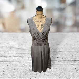 Rene lezard silk dress size 38 EU size 8 US